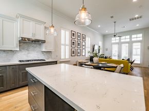 4035 Leeland Street, Houston TX 77023