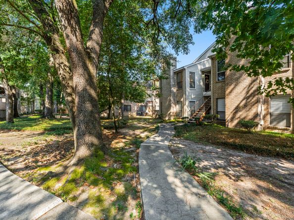 3500 Tangle Brush Drive 178, The Woodlands TX 77381