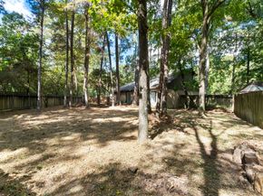 19 Tremont Woods Court, The Woodlands TX 77381