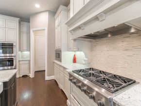 19 Brittany Rose Place, The Woodlands TX 77375