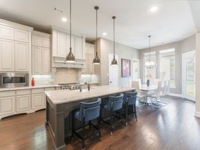 19 Brittany Rose Place, The Woodlands TX 77375