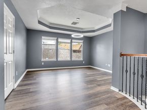 16715 Hibiscus Point Drive, Houston TX 77095