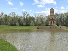 23685 Silver Palm Trail, New Caney TX 77357