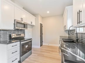 4723 Mallow Street, Houston TX 77033