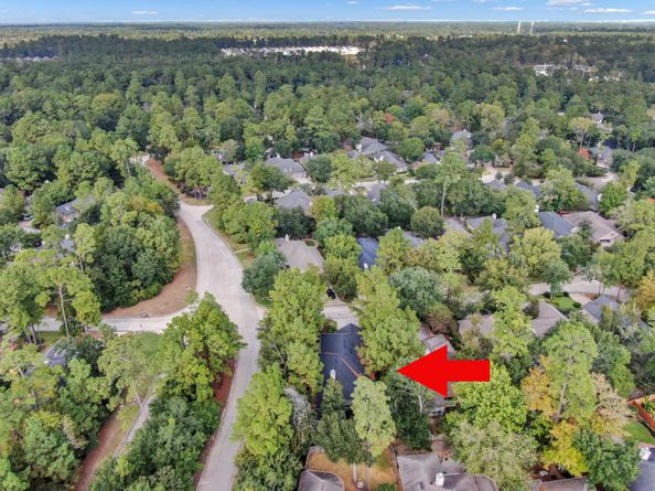 39 E Honey Grove Place, The Woodlands TX 77382