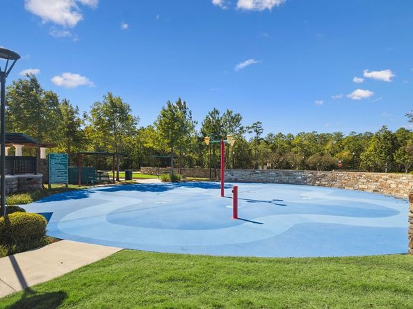 31778 Twin Timbers Lane, Spring TX 77386