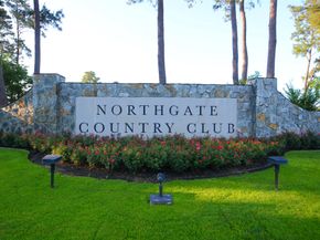 3034 Serena Vista Way, Houston TX 77068