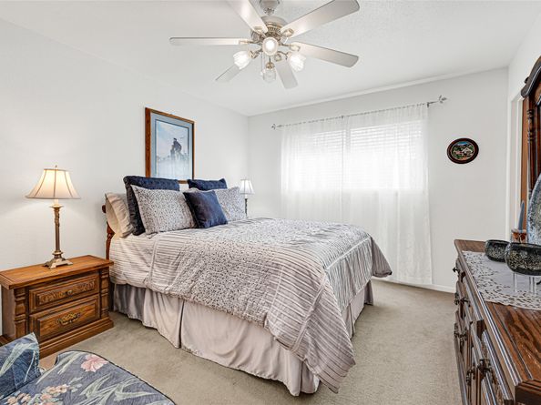 1119 Glen Echo Drive, Houston TX 77088