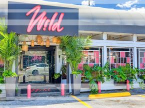 304 Bomar Street, Houston TX 77006