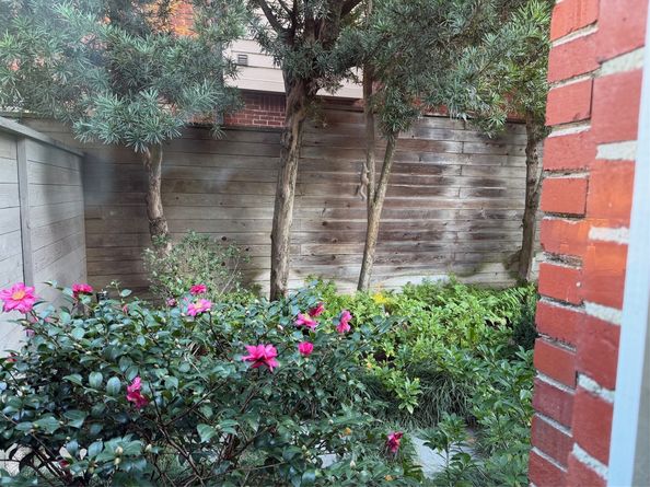 1807 Albans Road, Houston TX 77005