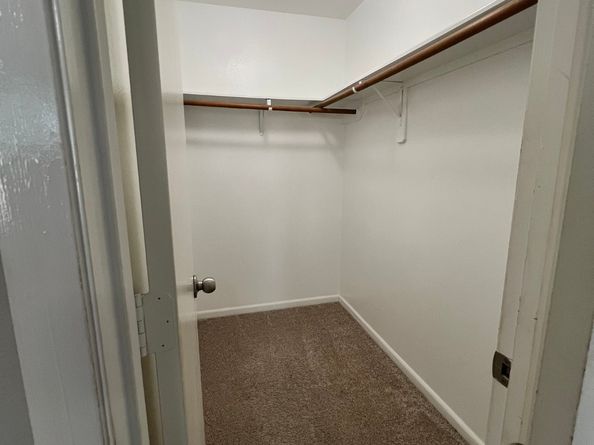 11711 Chanteloup Drive, Houston TX 77047