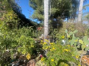 7751 Arvilla Avenue, Sun Valley (los Angeles) CA 91352