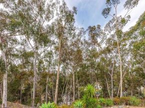 2062 Avenue Of The Trees, Carlsbad CA 92008