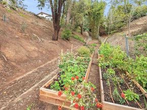 1427 Avocado Road, Oceanside CA 92054