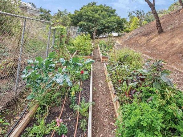 1427 Avocado Road, Oceanside CA 92054