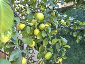 12325 Sweetbriar, Pacoima (los Angeles) CA 91331