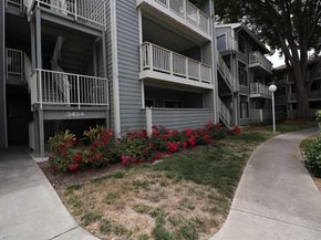 3416 Deerwood Ter 113, Fremont CA 94536