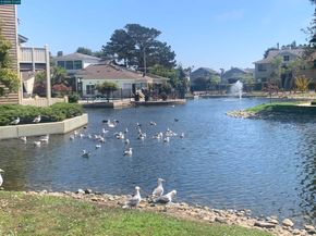 96 Lakeshore Ct, Richmond CA 94804