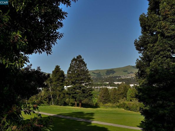 273 S Overlook Dr, San Ramon CA 94582