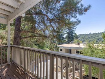 118 Ascot Ct
