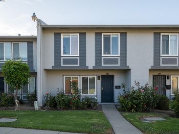 34579 Bluestone Cmn