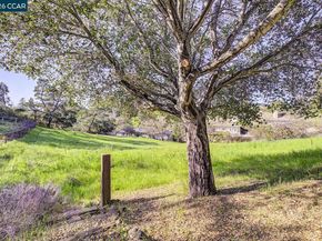 1375 El Curtola Blvd, Lafayette CA 94549