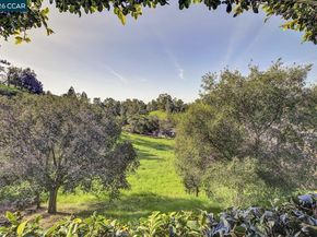 1375 El Curtola Blvd, Lafayette CA 94549