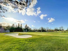 13 Kemp Ct, Alamo CA 94507