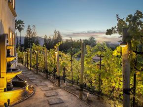 13 Kemp Ct, Alamo CA 94507