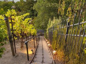 13 Kemp Ct, Alamo CA 94507