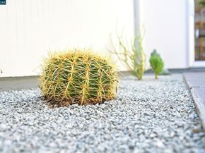 4024 Salem St, Concord CA 94521