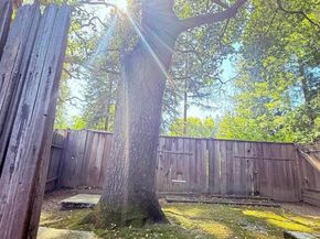 105 Camille Court, Alamo CA 94507