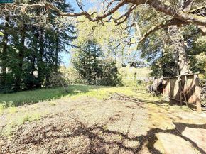 105 Camille Court, Alamo CA 94507