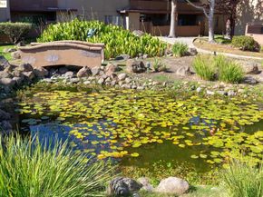 1311 Webster St E316, Alameda CA 94501