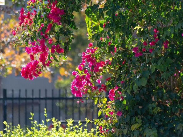 1311 Webster St E316, Alameda CA 94501