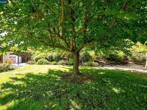4450 Shellflower Ct, Concord CA 94518