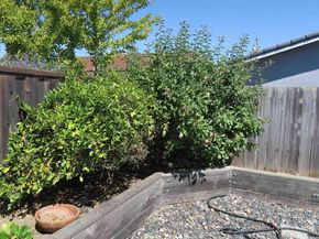 14512 Trinidad Rd, San Leandro CA 94577