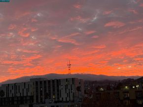 1515 15Th St 501, San Francisco CA 94103