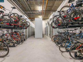 1515 15Th St 501, San Francisco CA 94103