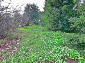 181 E Lewelling Blvd, San Lorenzo CA 94580