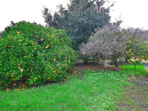 181 E Lewelling Blvd, San Lorenzo CA 94580