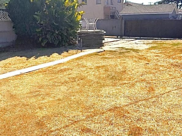 2823 S La Salle Ave, Los Angeles CA 90018