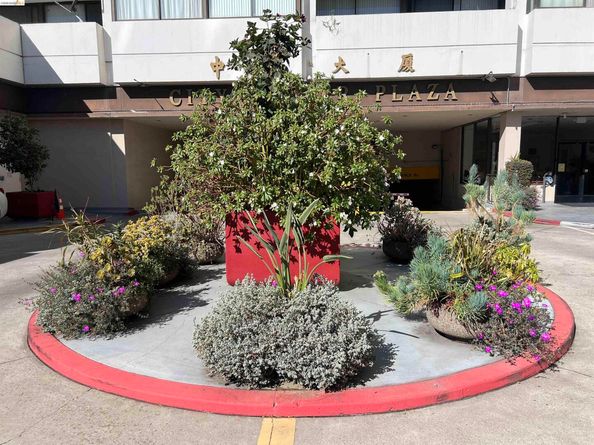 801 Franklin Street 201, Oakland CA 94607