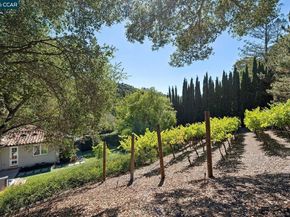 31 Sandy Ct, Orinda CA 94563
