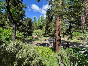 163 El Toyonal, Orinda CA 94563