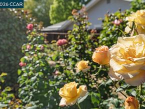 2866 Bowling Green Dr, Walnut Creek CA 94598