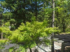 1860 Tice Creek Dr 1208, Walnut Creek CA 94595