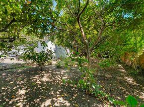 38811 Bonnie Way, Fremont CA 94536