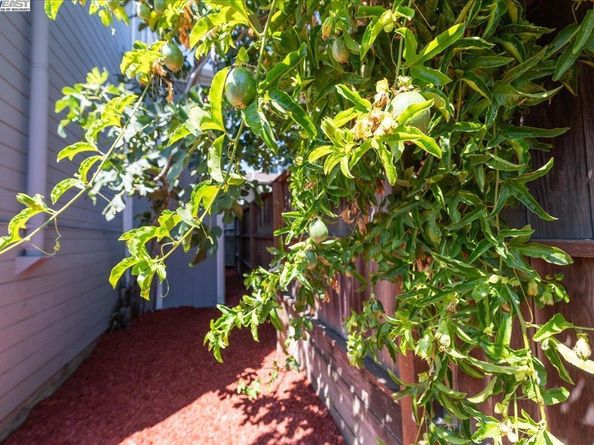 3214 13Th Ave, Oakland CA 94610