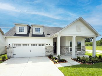 23647 Golden Birch Bend